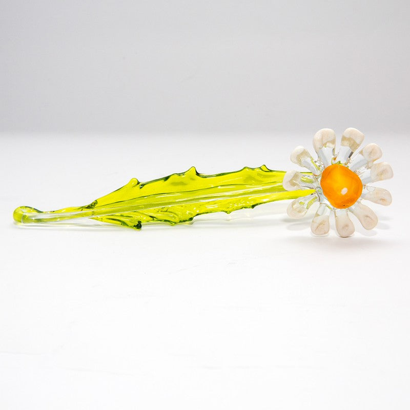 Margerite ''Blumen'' (15-18cm)
