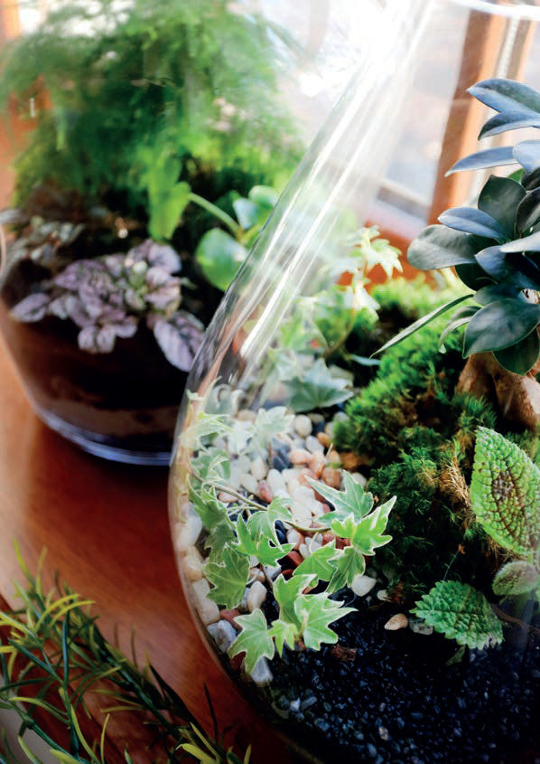 Glasvase Campana Famous 35cm Pflanzgefäß mit Loch zum Hängen Klarglas Geschenk